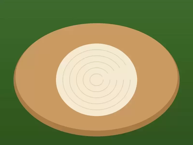 Queso palmito
